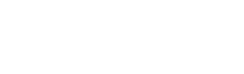 Shengshu Technology