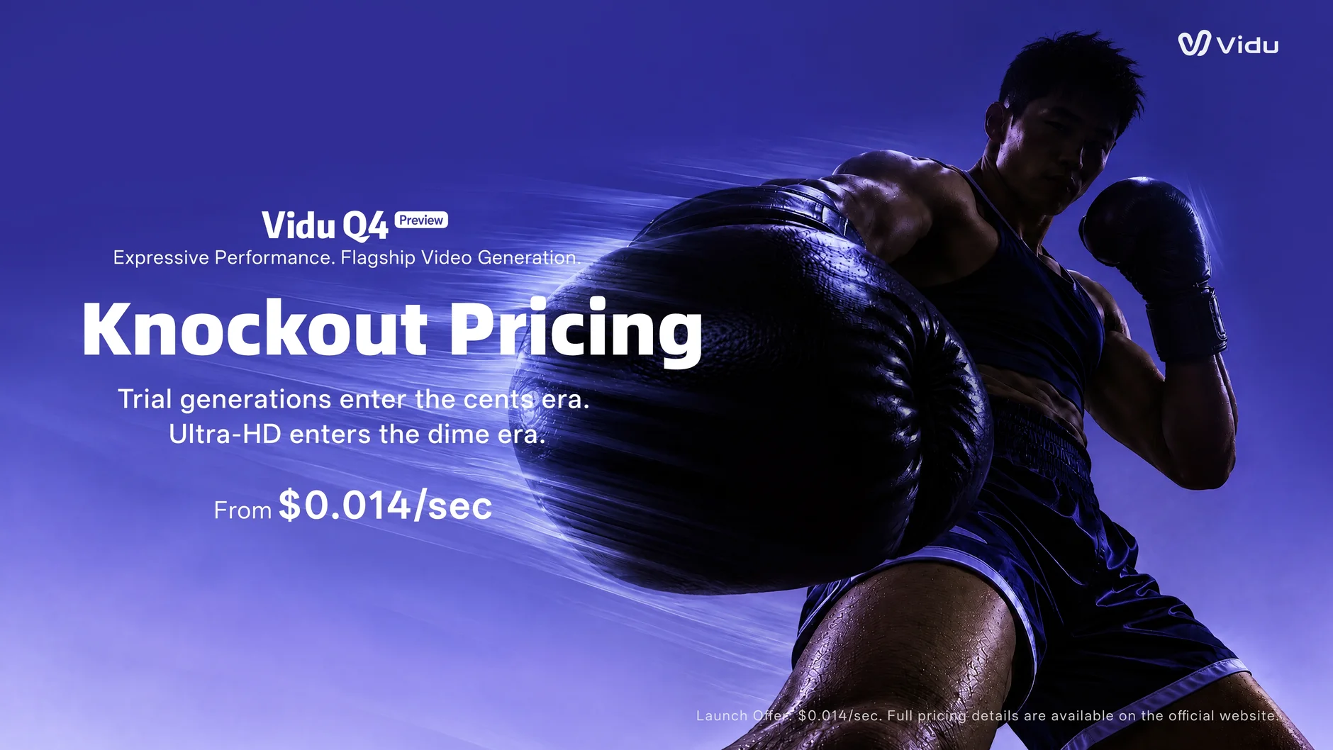 Knockout Pricing for Vidu Q4 Preview